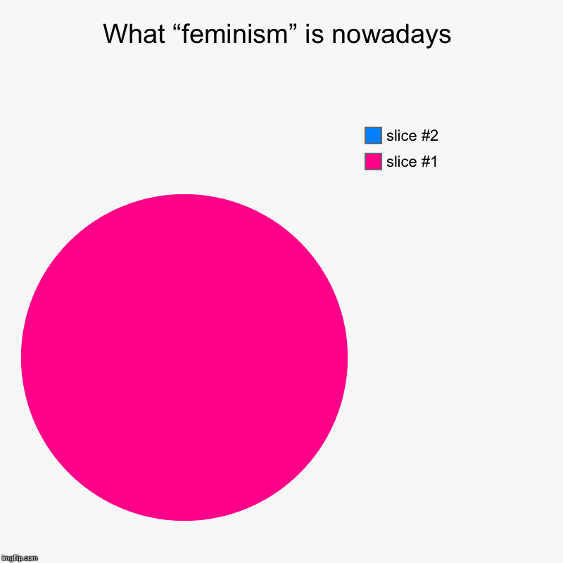 Wish I could turn back time | What “feminism” is nowadays | | image tagged in charts,pie charts,triggered feminist,dank memes,twenty one pilots,news | made w/ Imgflip chart maker