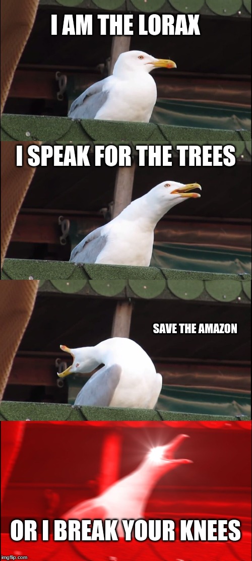Inhaling Seagull | I AM THE LORAX; I SPEAK FOR THE TREES; SAVE THE AMAZON; OR I BREAK YOUR KNEES | image tagged in memes,inhaling seagull | made w/ Imgflip meme maker