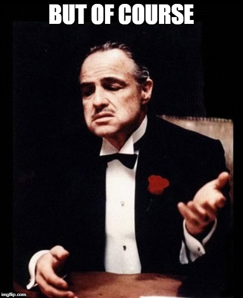 mafia don corleone | BUT OF COURSE | image tagged in mafia don corleone | made w/ Imgflip meme maker