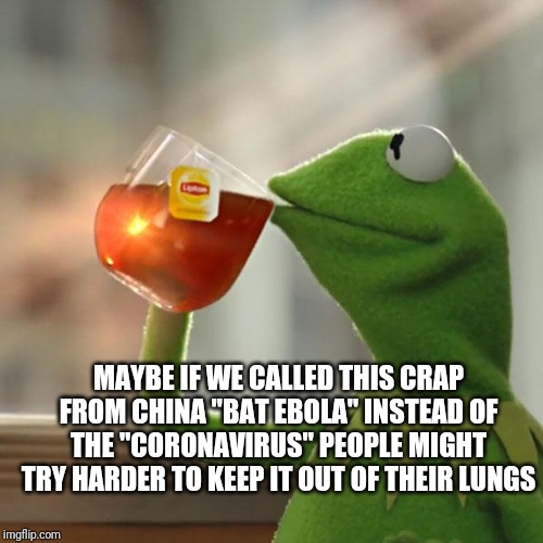 But That's None Of My Business | MAYBE IF WE CALLED THIS CRAP FROM CHINA "BAT EBOLA" INSTEAD OF THE "CORONAVIRUS" PEOPLE MIGHT TRY HARDER TO KEEP IT OUT OF THEIR LUNGS | image tagged in memes,but thats none of my business,kermit the frog | made w/ Imgflip meme maker