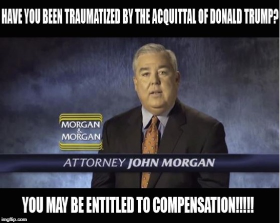 Not really, but Morgan and Morgan memes are funny and FOR THE PEOPLE | image tagged in morgan and morgan,trump derangement syndrome,impeachment sham | made w/ Imgflip meme maker