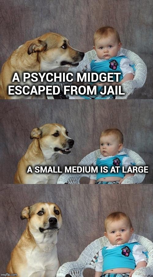 Dad Joke Dog Meme | A PSYCHIC MIDGET ESCAPED FROM JAIL A SMALL MEDIUM IS AT LARGE | image tagged in memes,dad joke dog | made w/ Imgflip meme maker