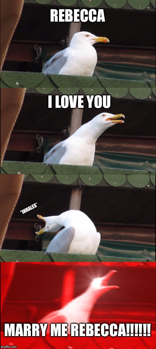 Inhaling Seagull Meme Imgflip