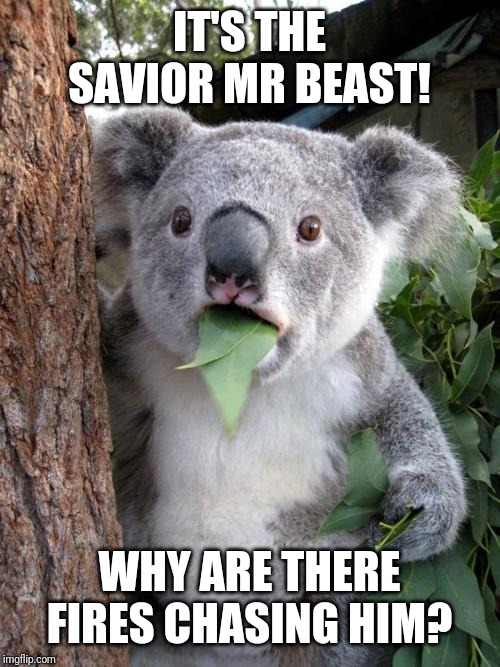 Surprised Koala Meme | IT'S THE SAVIOR MR BEAST! WHY ARE THERE FIRES CHASING HIM? | image tagged in memes,surprised koala | made w/ Imgflip meme maker