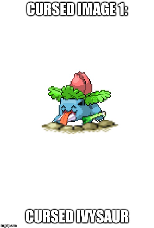 cursed image 1 | CURSED IMAGE 1:; CURSED IVYSAUR | image tagged in cursed ivysaur,cursed image | made w/ Imgflip meme maker