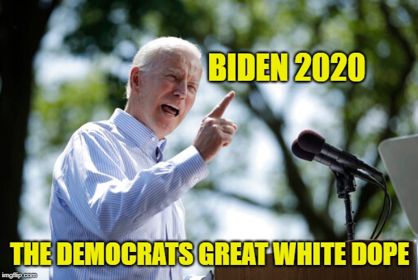 BIDEN 2020 THE DEMOCRATS GREAT WHITE DOPE | made w/ Imgflip meme maker