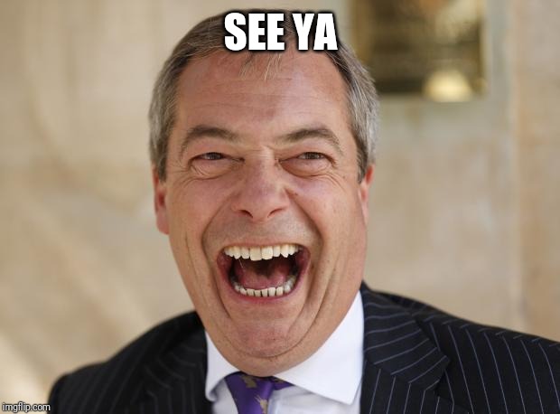 Nigel Farage | SEE YA | image tagged in nigel farage | made w/ Imgflip meme maker
