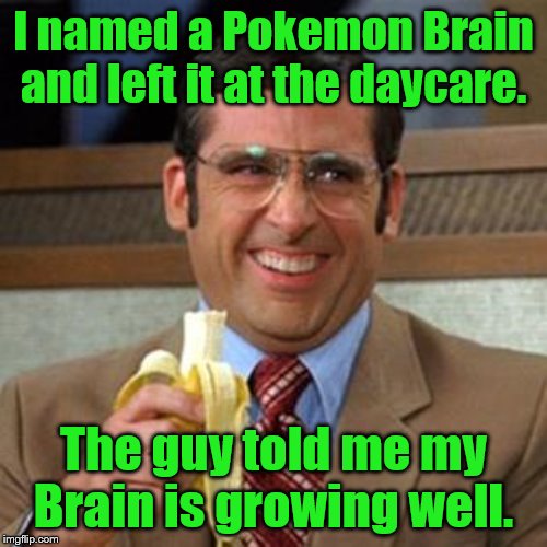 steve carrell banana | I named a Pokemon Brain and left it at the daycare. The guy told me my Brain is growing well. | image tagged in steve carrell banana | made w/ Imgflip meme maker