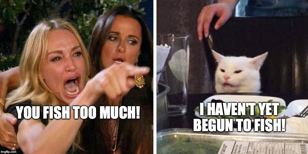 Smudge the cat | I HAVEN'T YET BEGUN TO FISH! YOU FISH TOO MUCH! | image tagged in smudge the cat | made w/ Imgflip meme maker