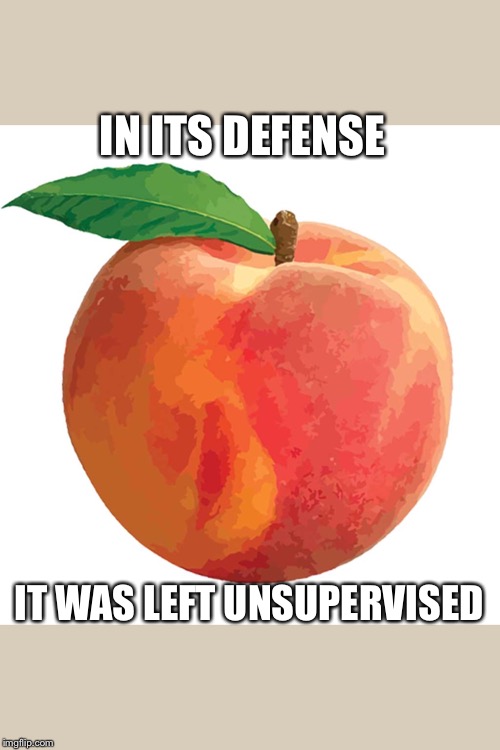 Peach | IN ITS DEFENSE; IT WAS LEFT UNSUPERVISED | image tagged in peach | made w/ Imgflip meme maker