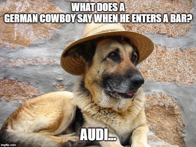 German Shepherd Cowboy | WHAT DOES A GERMAN COWBOY SAY WHEN HE ENTERS A BAR? AUDI... | image tagged in german shepherd cowboy | made w/ Imgflip meme maker