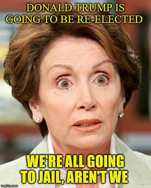 Shocked Pelosi | DONALD TRUMP IS GOING TO BE RE-ELECTED; WE'RE ALL GOING TO JAIL, AREN'T WE | image tagged in shocked pelosi | made w/ Imgflip meme maker