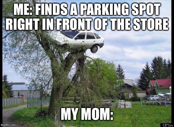 Secure Parking Meme | ME: FINDS A PARKING SPOT RIGHT IN FRONT OF THE STORE; MY MOM: | image tagged in memes,secure parking | made w/ Imgflip meme maker