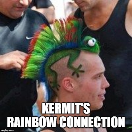Kermit | KERMIT'S RAINBOW CONNECTION | image tagged in kermit the frog,rainbow,hairstyle | made w/ Imgflip meme maker