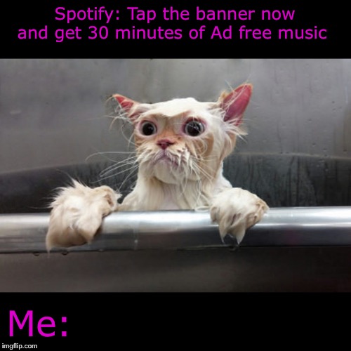 startled shower cat  | Spotify: Tap the banner now and get 30 minutes of Ad free music; Me: | image tagged in startled shower cat,spotify,music,animals,shower music,problems | made w/ Imgflip meme maker