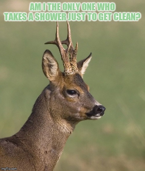 Sad deer | AM I THE ONLY ONE WHO TAKES A SHOWER JUST TO GET CLEAN? | image tagged in sad deer | made w/ Imgflip meme maker