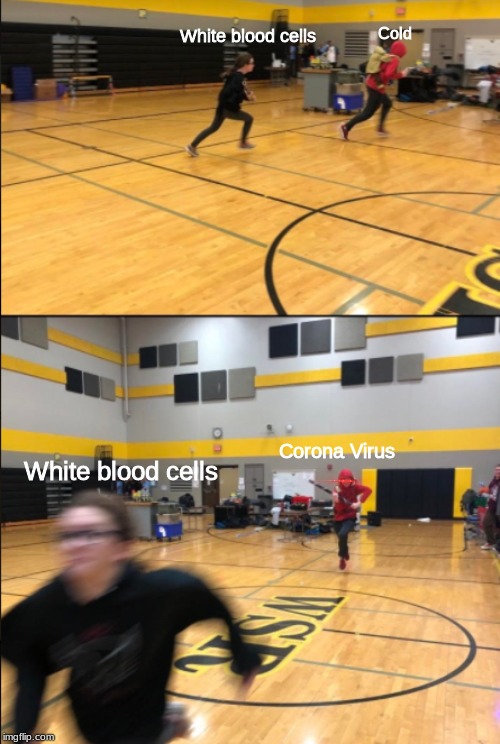 Robotics Chase | White blood cells; Cold; Corona Virus; White blood cells | image tagged in robotics chase | made w/ Imgflip meme maker