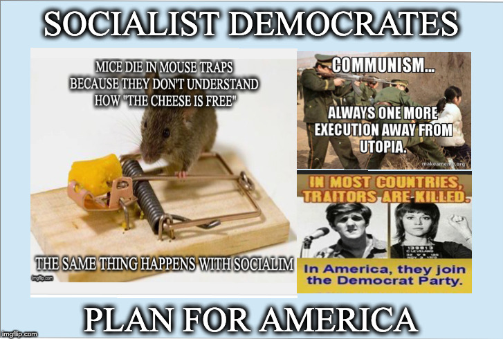 Total Control | SOCIALIST DEMOCRATES; PLAN FOR AMERICA | image tagged in democratic socialism,communist socialist,socialism | made w/ Imgflip meme maker