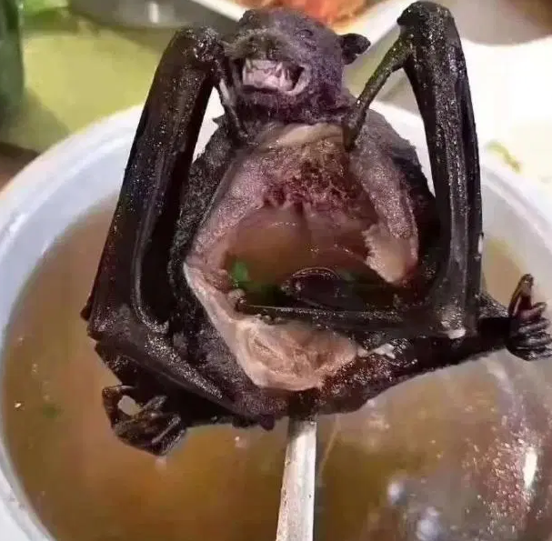 High Quality Bat soup Blank Meme Template