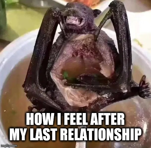 Bat soup | HOW I FEEL AFTER MY LAST RELATIONSHIP | image tagged in bat soup | made w/ Imgflip meme maker