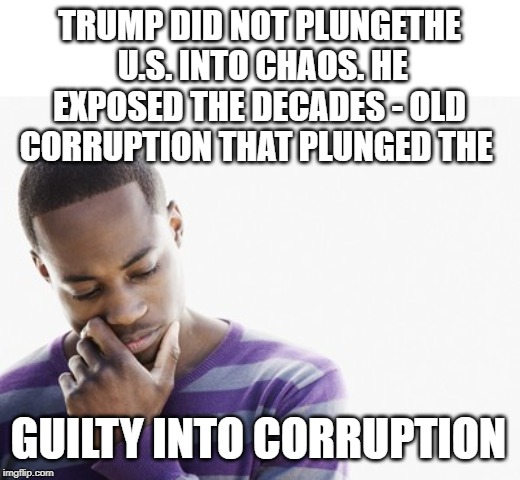 chaos | TRUMP DID NOT PLUNGETHE  U.S. INTO CHAOS. HE EXPOSED THE DECADES - OLD CORRUPTION THAT PLUNGED THE; GUILTY INTO CORRUPTION | image tagged in thinking man,trump,swamp,chaos | made w/ Imgflip meme maker