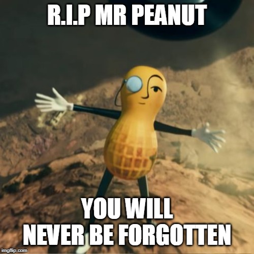 Mr Peanut's death | R.I.P MR PEANUT; YOU WILL NEVER BE FORGOTTEN | image tagged in mr peanut's death | made w/ Imgflip meme maker
