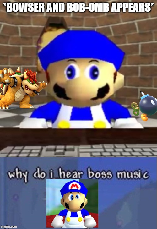 *BOWSER AND BOB-OMB APPEARS* | image tagged in smg4 derp,why do i hear boss music | made w/ Imgflip meme maker