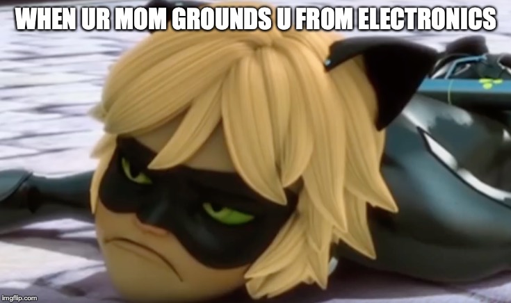 upset cat noir | WHEN UR MOM GROUNDS U FROM ELECTRONICS | image tagged in upset cat noir | made w/ Imgflip meme maker