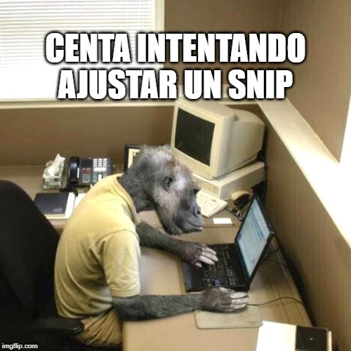 Monkey Business Meme | CENTA INTENTANDO AJUSTAR UN SNIP | image tagged in memes,monkey business | made w/ Imgflip meme maker