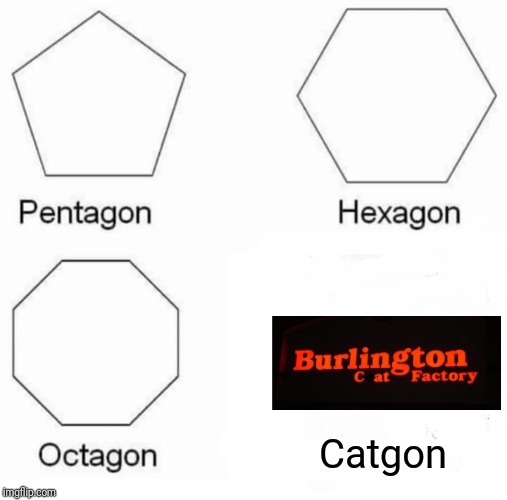Pentagon Hexagon Octagon Meme | Catgon | image tagged in memes,pentagon hexagon octagon,cats,cat,factory | made w/ Imgflip meme maker
