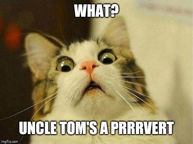 Scared Cat | WHAT? UNCLE TOM'S A PRRRVERT | image tagged in memes,scared cat | made w/ Imgflip meme maker