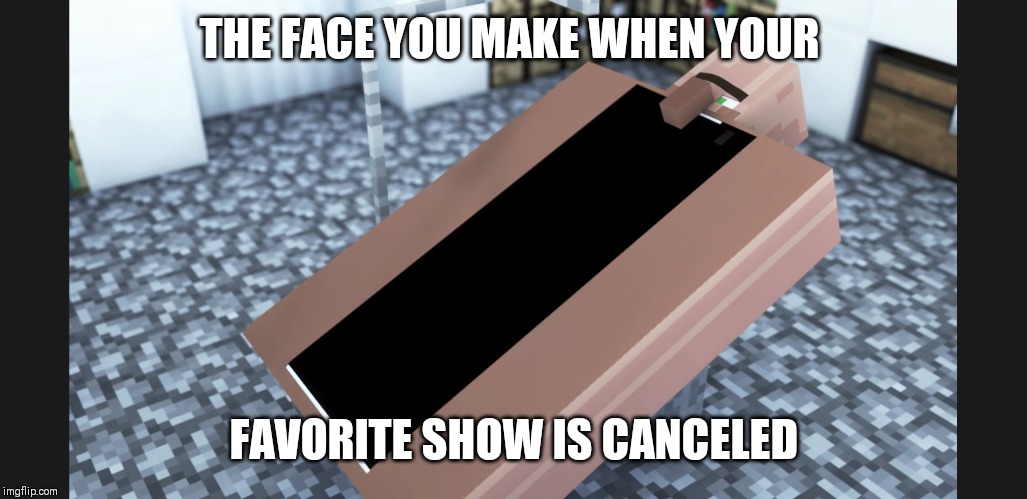 THE FACE YOU MAKE WHEN YOUR; FAVORITE SHOW IS CANCELED | image tagged in funny | made w/ Imgflip meme maker