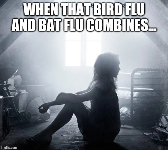 WHEN THAT BIRD FLU AND BAT FLU COMBINES... | made w/ Imgflip meme maker