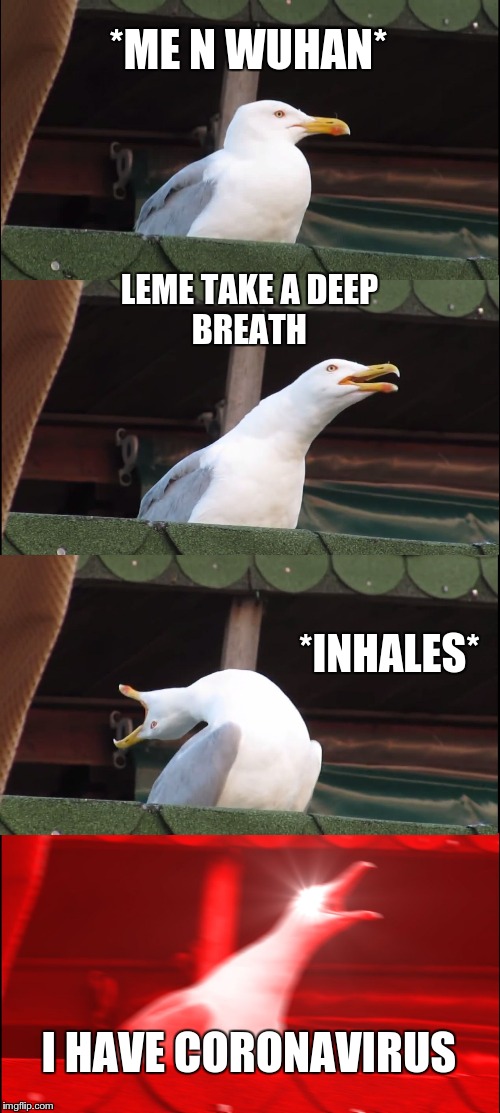 Inhaling Seagull Meme | *ME N WUHAN*; LEME TAKE A DEEP
BREATH; *INHALES*; I HAVE CORONAVIRUS | image tagged in memes,inhaling seagull | made w/ Imgflip meme maker