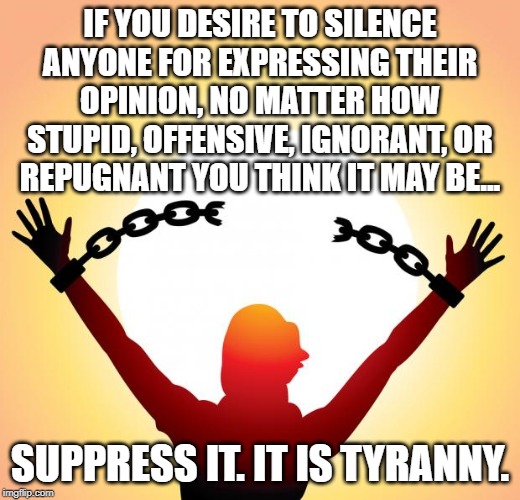 freedom | IF YOU DESIRE TO SILENCE ANYONE FOR EXPRESSING THEIR OPINION, NO MATTER HOW STUPID, OFFENSIVE, IGNORANT, OR REPUGNANT YOU THINK IT MAY BE... SUPPRESS IT. IT IS TYRANNY. | image tagged in freedom | made w/ Imgflip meme maker