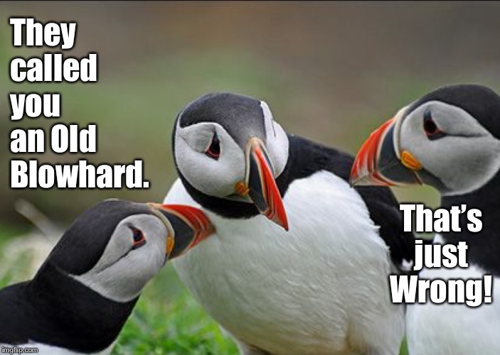 They called you an Old Blowhard. That’s just Wrong! | made w/ Imgflip meme maker