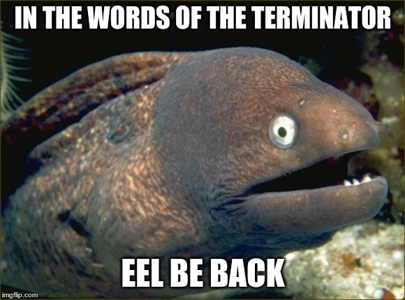 Bad Joke Eel Meme | IN THE WORDS OF THE TERMINATOR; EEL BE BACK | image tagged in memes,bad joke eel | made w/ Imgflip meme maker