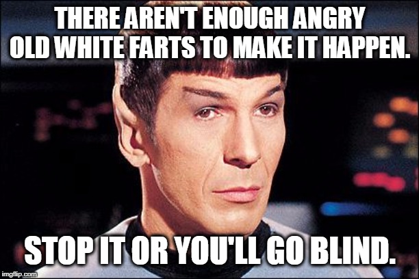 Condescending Spock | THERE AREN'T ENOUGH ANGRY OLD WHITE FARTS TO MAKE IT HAPPEN. STOP IT OR YOU'LL GO BLIND. | image tagged in condescending spock | made w/ Imgflip meme maker