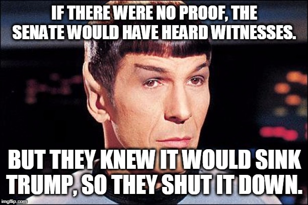 Condescending Spock | IF THERE WERE NO PROOF, THE SENATE WOULD HAVE HEARD WITNESSES. BUT THEY KNEW IT WOULD SINK TRUMP, SO THEY SHUT IT DOWN. | image tagged in condescending spock | made w/ Imgflip meme maker