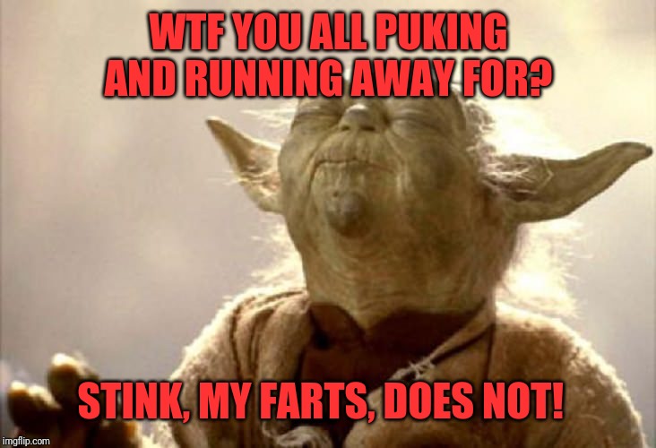 SMELLING YODA | WTF YOU ALL PUKING AND RUNNING AWAY FOR? STINK, MY FARTS, DOES NOT! | image tagged in smelling yoda | made w/ Imgflip meme maker