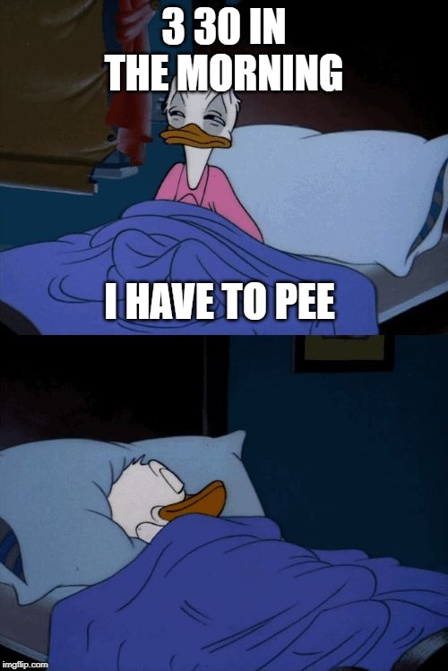 Sleeping Donald Duck | 3 30 IN THE MORNING; I HAVE TO PEE | image tagged in sleeping donald duck | made w/ Imgflip meme maker