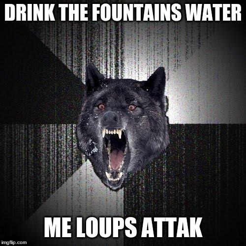 Insanity Wolf Meme | DRINK THE FOUNTAINS WATER; ME LOUPS ATTAK | image tagged in memes,insanity wolf | made w/ Imgflip meme maker