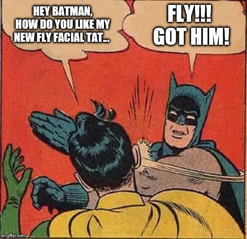 Batman Slapping Robin | HEY BATMAN,
HOW DO YOU LIKE MY NEW FLY FACIAL TAT... FLY!!!  GOT HIM! | image tagged in memes,batman slapping robin | made w/ Imgflip meme maker
