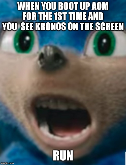 Sonic the Hedgehog | WHEN YOU BOOT UP AOM FOR THE 1ST TIME AND YOU  SEE KRONOS ON THE SCREEN; RUN | image tagged in sonic the hedgehog | made w/ Imgflip meme maker