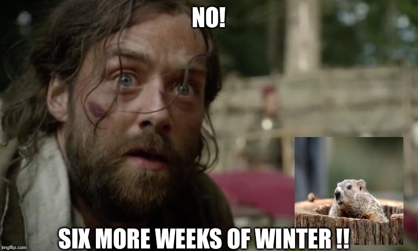 NO! SIX MORE WEEKS OF WINTER !! | image tagged in groundhog day | made w/ Imgflip meme maker