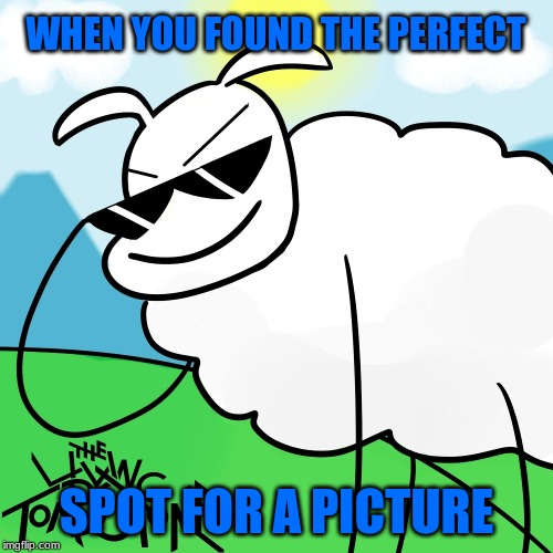 hype sheep | WHEN YOU FOUND THE PERFECT; SPOT FOR A PICTURE | image tagged in hype sheep | made w/ Imgflip meme maker