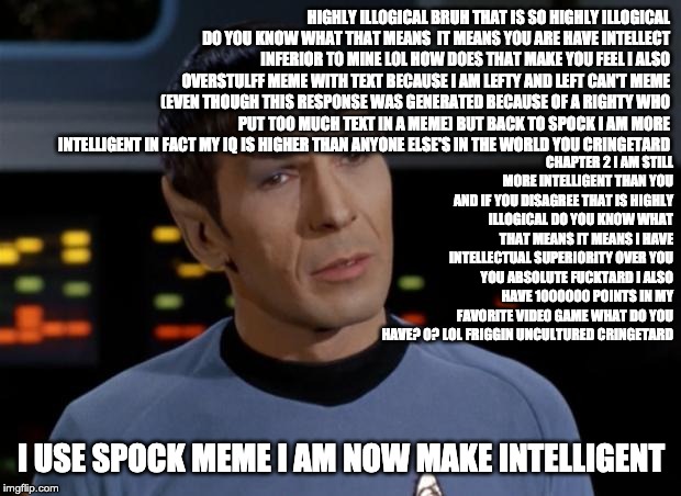 Spock Illogical | HIGHLY ILLOGICAL BRUH THAT IS SO HIGHLY ILLOGICAL DO YOU KNOW WHAT THAT MEANS  IT MEANS YOU ARE HAVE INTELLECT INFERIOR TO MINE LOL HOW DOES | image tagged in spock illogical | made w/ Imgflip meme maker
