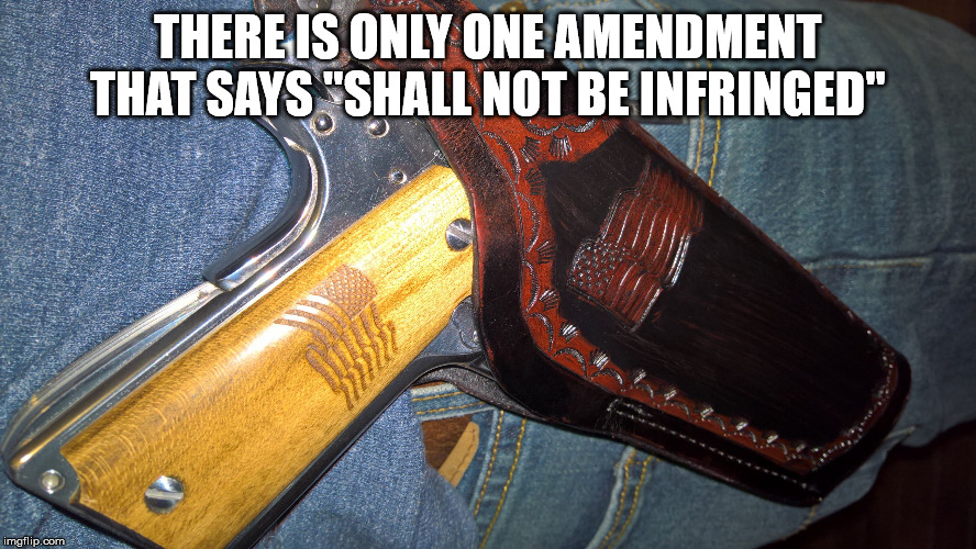 Maybe there is a reason for that | THERE IS ONLY ONE AMENDMENT THAT SAYS "SHALL NOT BE INFRINGED" | image tagged in second amendment,words have meaning | made w/ Imgflip meme maker