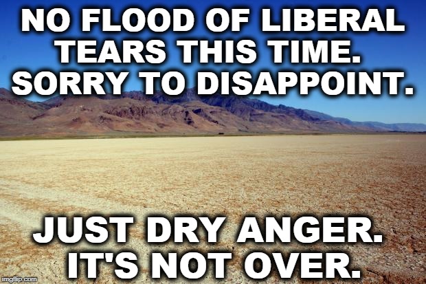 64% of Americans sympathize with the protesters. 55% disapprove of Trump's actions. | NO FLOOD OF LIBERAL TEARS THIS TIME. 
SORRY TO DISAPPOINT. JUST DRY ANGER. 
IT'S NOT OVER. | image tagged in desert large dry,trump,liberal tears,anger | made w/ Imgflip meme maker