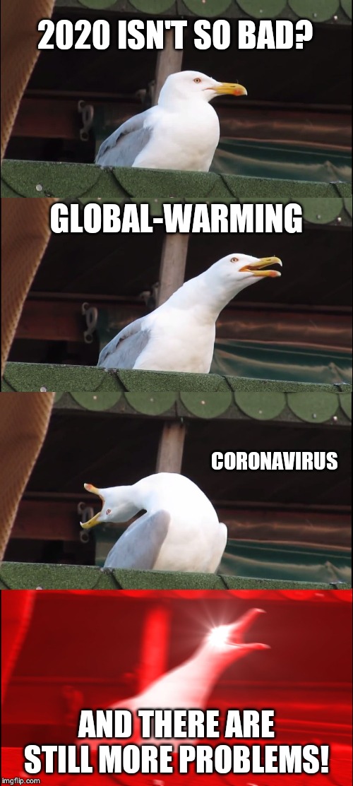 Inhaling Seagull | 2020 ISN'T SO BAD? GLOBAL-WARMING; CORONAVIRUS; AND THERE ARE STILL MORE PROBLEMS! | image tagged in memes,inhaling seagull | made w/ Imgflip meme maker